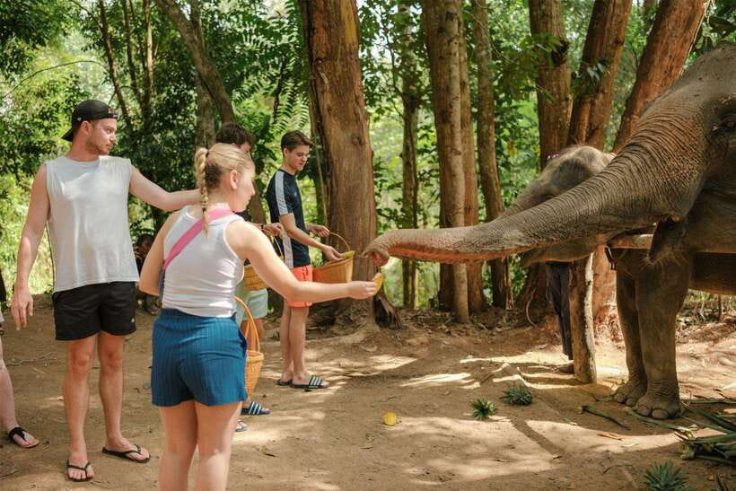 Krabi: Elephant Sanctuary (near Ao Nang) Visit - Krabi Elephant Sanctuary near Ao Nang: what the short visit is really like