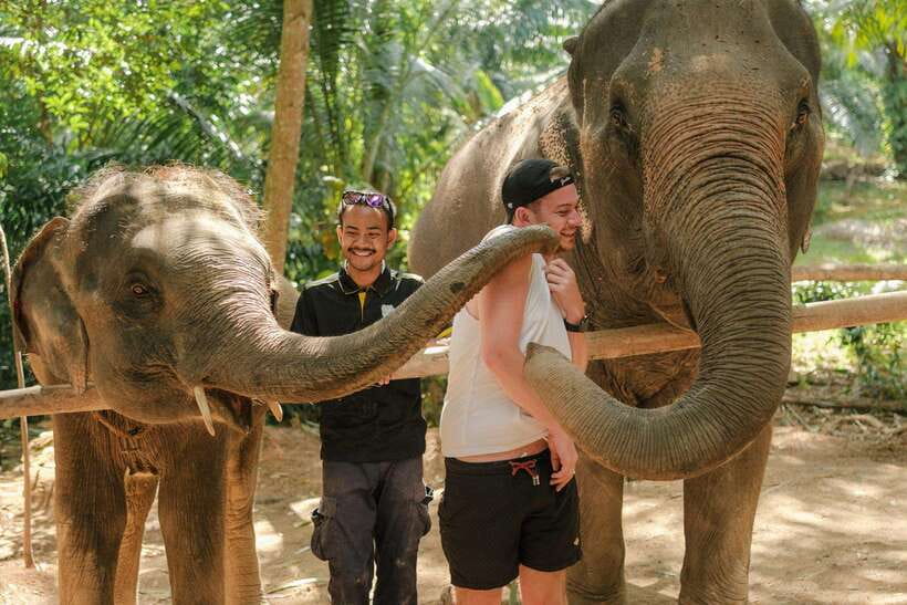 Krabi: Elephant Sanctuary (near Ao Nang) Visit - The 30-minute flow: ancient tools, fruit feeding, and elephant stories