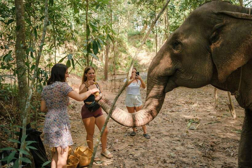 Krabi: Elephant Sanctuary (near Ao Nang) Visit - Ethical check: what to look for during your visit