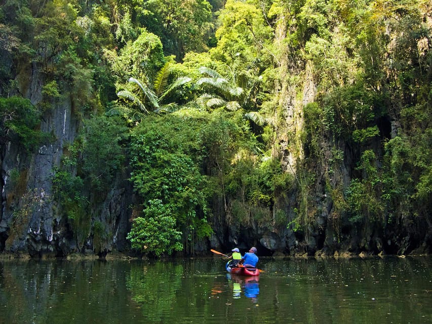Krabi: Kayak Adventure through Ao Thalane Mangrove Forest - Tide Matters: Why Low Water Can Change the Route