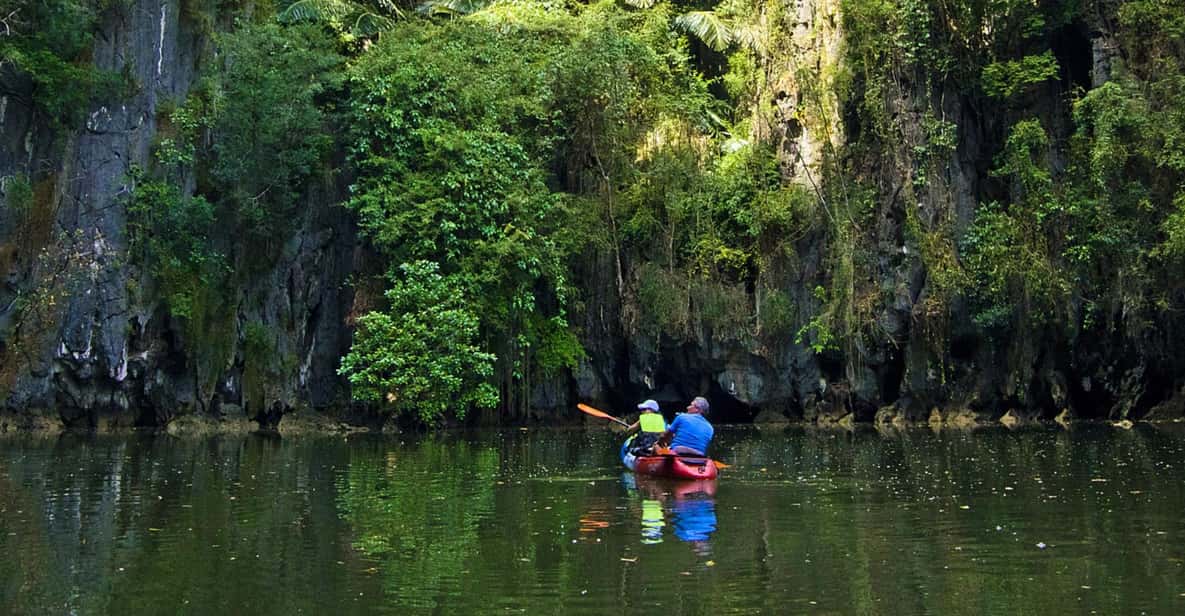 Krabi: Kayak Adventure through Ao Thalane Mangrove Forest - From Pickup to Launch: How the Timing Usually Works
