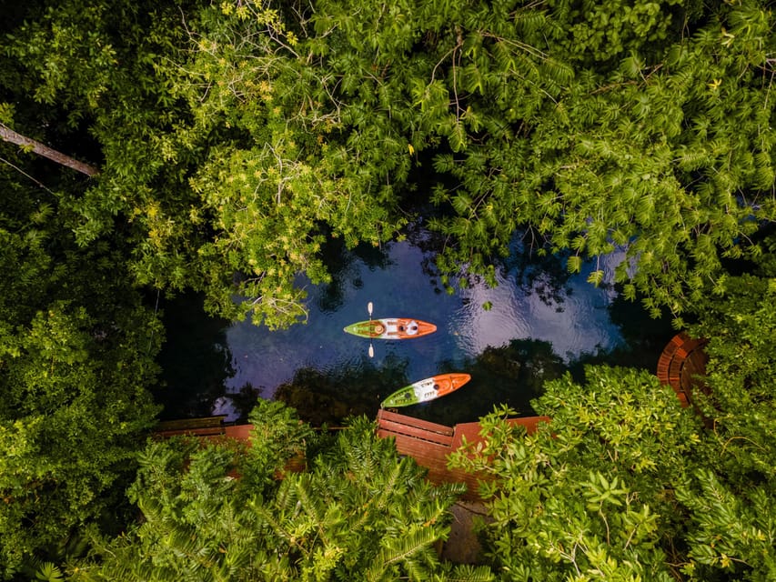 Krabi: Kayak Adventure through Ao Thalane Mangrove Forest - Crocodile Cave: The Stop That Changes the Mood