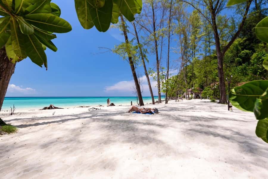 Krabi: Phi Phi & 4 Islands Sunset Tour by Speedboat - Ko Phi Phi Lee + Viking Cave: limestone views, caves, and another snorkel block