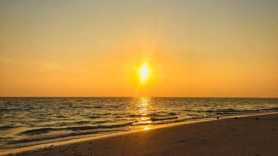 Krabi: Phi Phi Early Bird & 4 Island by Speedboat with Lunch - Maya Bay and the The Beach film spot