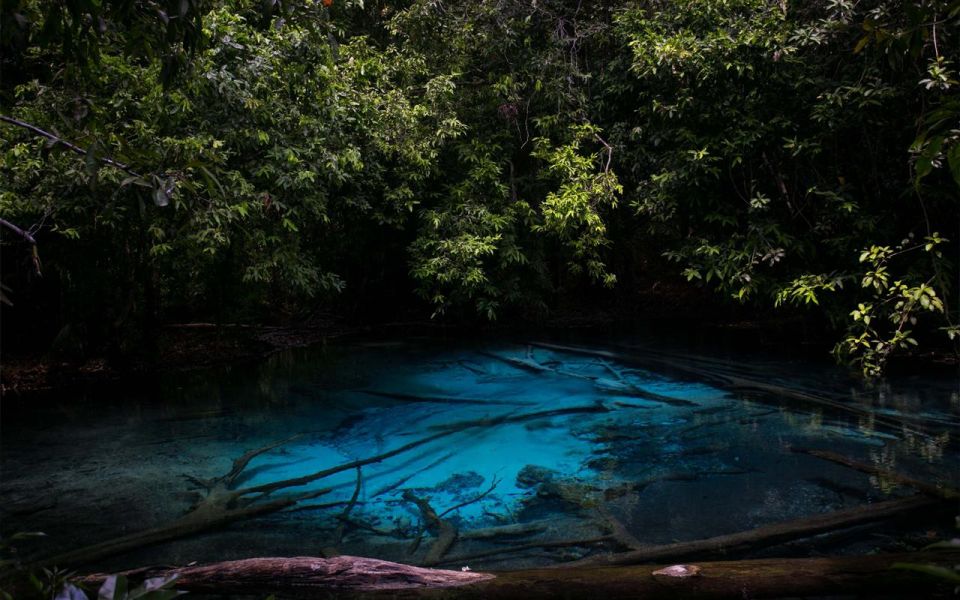 Krabi: Tiger Cave, Hot Springs and Emerald Pool Jungle Tour - Emerald Pool Jungle Walk: Where the Lagoon Feel Comes From