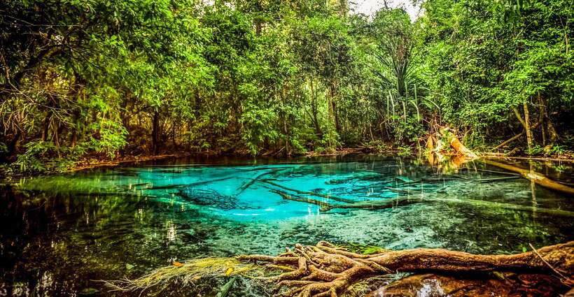 Krabi: Tiger Cave Temple, Emerald Pool and Hot Springs Tour - Dress Code and What to Pack So You Don’t Feel Rushed