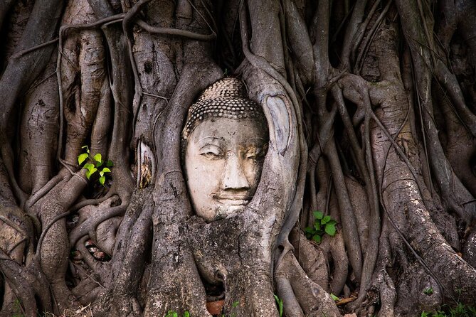 Lopburi Monkey Temple & Ayutthaya Old City Tour From Bangkok - Key things to know before you go