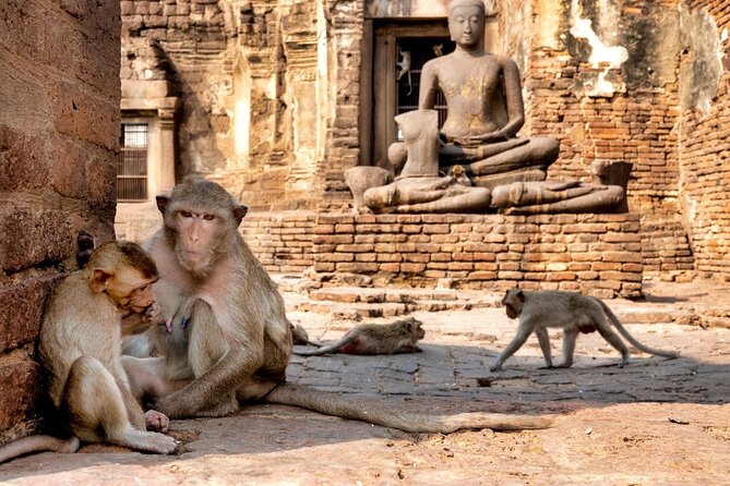 Lopburi Monkey Temple & Ayutthaya Old City Tour From Bangkok - Getting there from Bangkok: pickup zones and the traffic reality