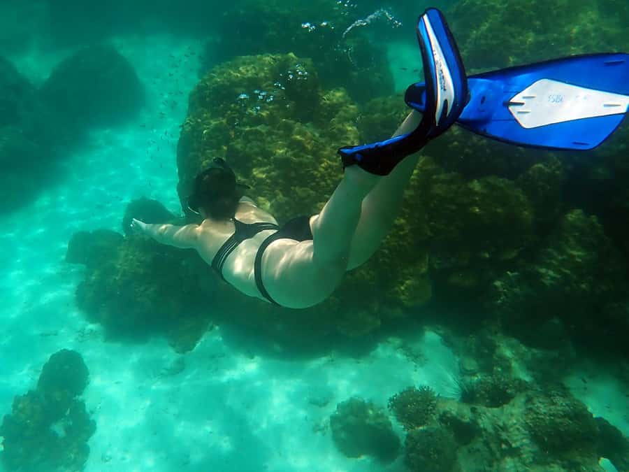 Mu Ko Ang Thong Park: Semi-private Sunset Cruise Tour - Lunch and Boat Breaks: Thai-Fusion Food That Actually Keeps Up