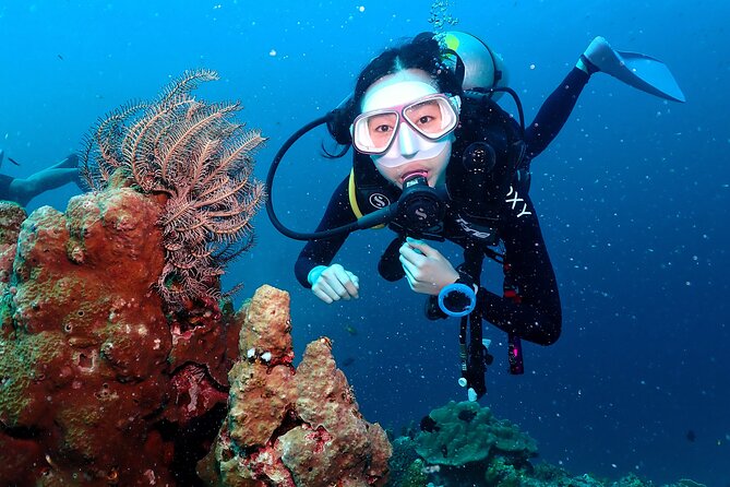 Open Water Course - Become certified diver in 3 days - Key highlights to know before you go
