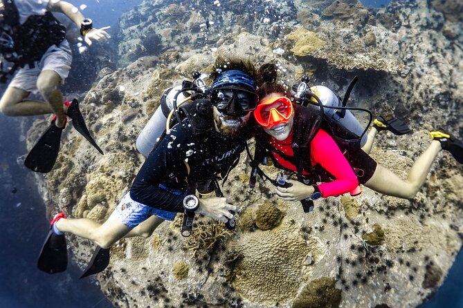 Open Water Course - Become certified diver in 3 days - What to expect from Koh Tao underwater sessions (comfort, clarity, and safety)