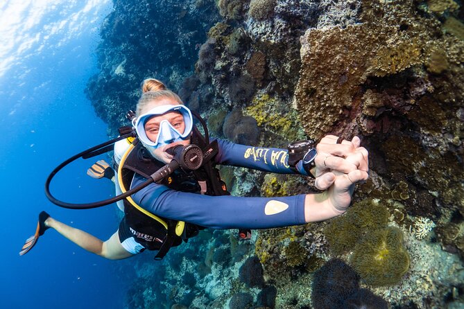 Open Water Course - Become certified diver in 3 days - Getting to the course: pickup, mobile ticket, and simple routing