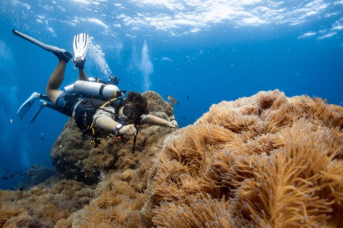 Open Water Course - Become certified diver in 3 days - Koh Tao Scuba Club: where your course day starts at 9:00 am