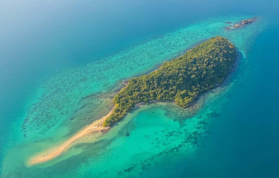 Pattaya: 3 Islands Day Tour on Catamaran with Buffet Lunch - Monkey Island: feeding wild monkeys with crew guidance