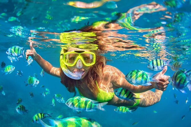 Phi Phi and Khai Islands Snorkeling Tour with Lunch by Speedboat - Why this speedboat day makes sense for first-timers