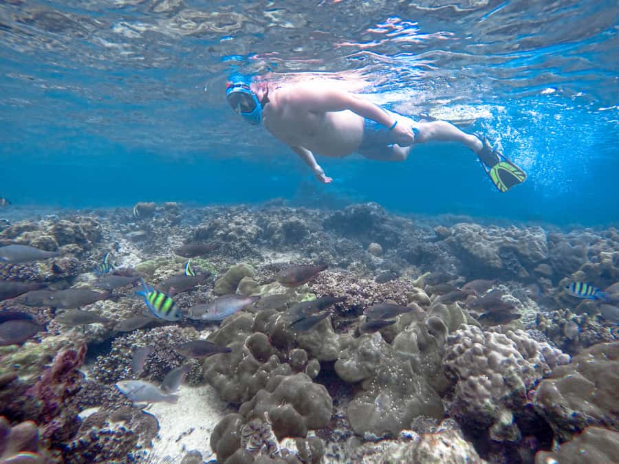 Phi Phi & Bamboo Islands: Premium Day Trip w/ Seaview Lunch - The Speedboat Ride on the Andaman Sea: thrilling, but plan for chop