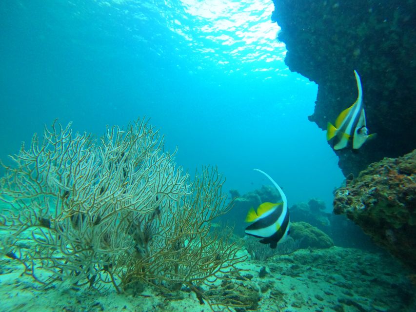Phi Phi & Bamboo Islands: Premium Day Trip w/ Seaview Lunch - Pileh Lagoon Natural Pool: the one that earns its photos