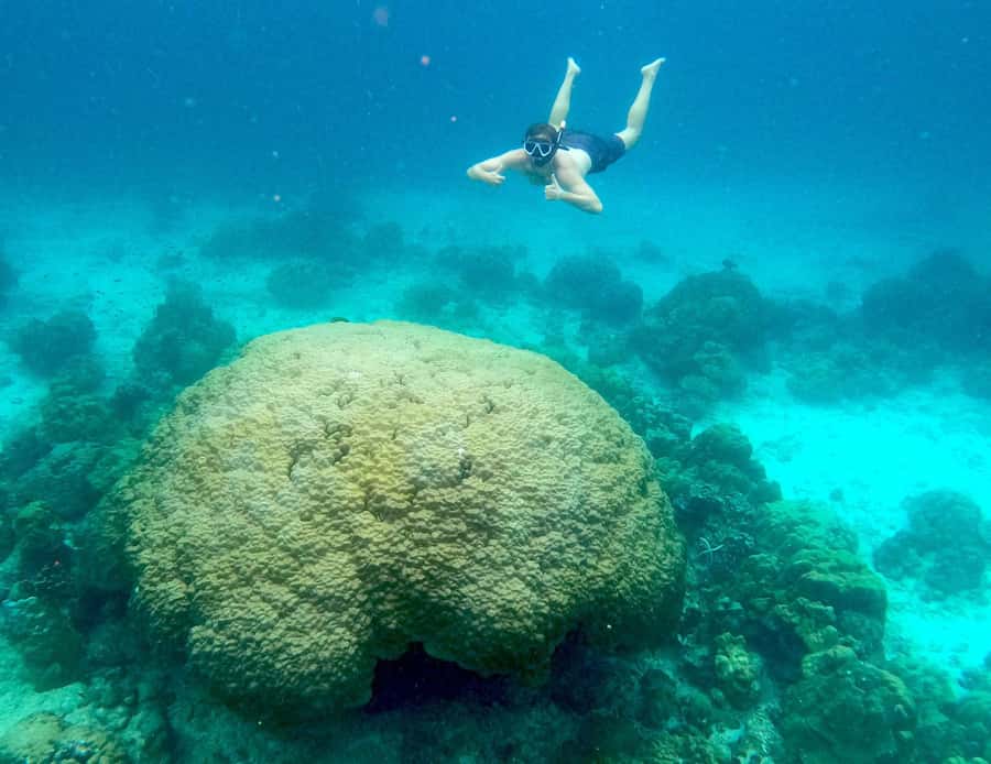 Phi Phi: Private Longtail Boat to Maya Bay with Snorkeling - Price and what you get for $112 (private for up to 2)
