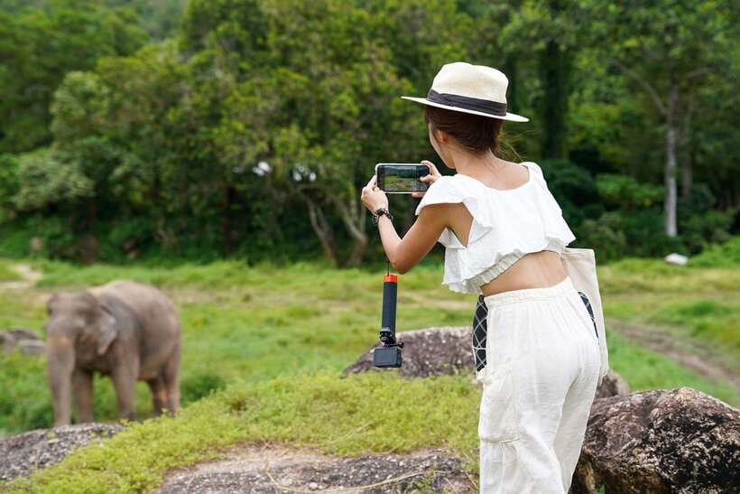 Phuket: Bukit Elephant Park Sanctuary Walk and Feed Tour - The sanctuary walk: watching elephants roam is the main event