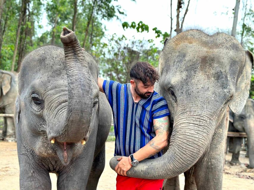 Phuket: Elephant Experience with Lunch or Dinner and Pickup - Key moments worth planning for
