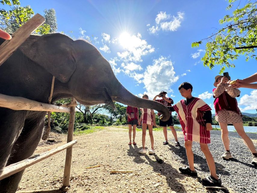 Phuket: Elephant Experience with Lunch or Dinner and Pickup - The sanctuary arrival routine: mahout outfit, coffee cookies, and Karen culture