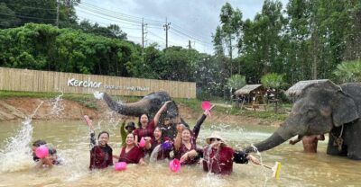 Phuket: Elephant Experience with Lunch or Dinner and Pickup - Pickup and timing in Phuket: morning 7:00 AM pickup, 9:00 AM start
