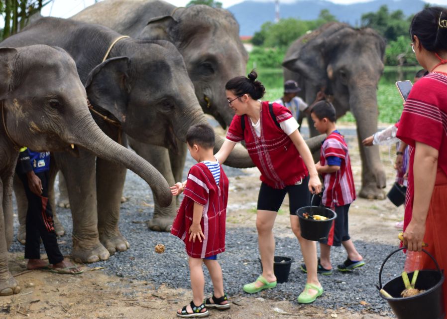 Phuket: Elephant Experience with Lunch or Dinner and Pickup - Feeding baby elephants and prep work: what you do (and why it’s valuable)