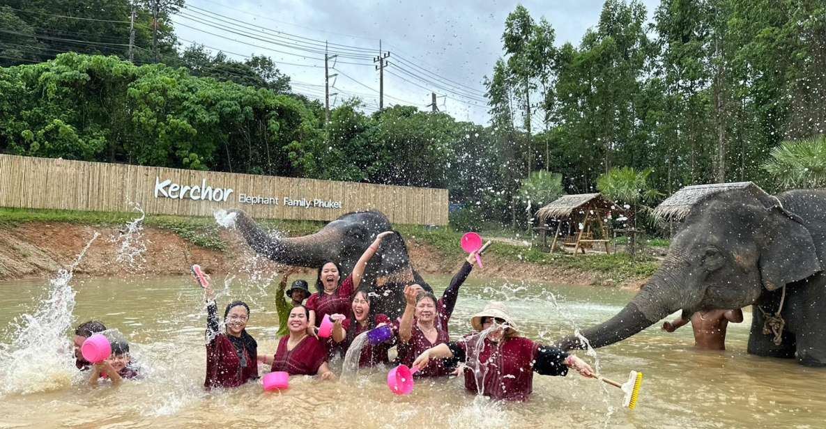 Phuket: Elephant Experience with Lunch or Dinner and Pickup - Pickup and timing in Phuket: morning 7:00 AM pickup, 9:00 AM start