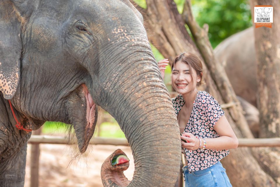 Phuket: Elephant Jungle Sanctuary Ethical Feeding Experience - Key Highlights Worth Your Time