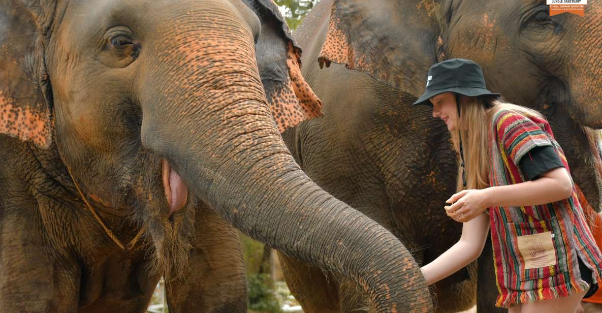 Phuket: Elephant Jungle Sanctuary Ethical Feeding Experience - Elephant Jungle Sanctuary Phuket in Your Phuket Schedule