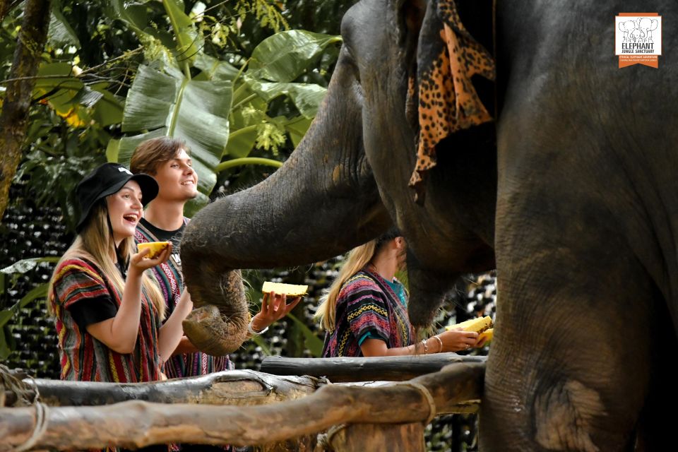 Phuket: Elephant Jungle Sanctuary Ethical Feeding Experience - Ethical Feeding: How the Rules Keep Both Elephants and Humans Safer