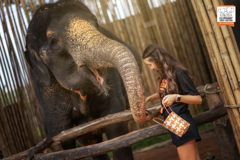 Phuket: Elephant Jungle Sanctuary Ethical Feeding Experience - What to Bring (and What to Wear) in Phuket Heat