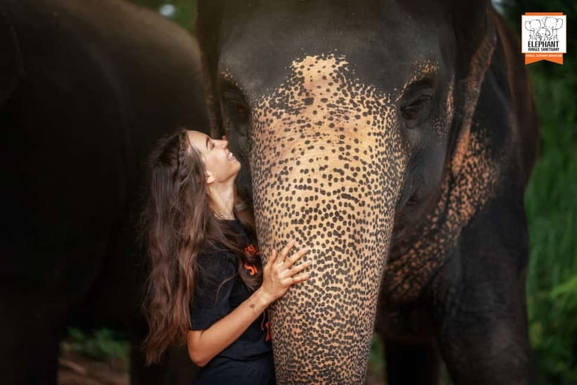 Phuket: Elephant Jungle Sanctuary Ethical Feeding Experience - Who Should Book This (and Who Might Want a Different Option)