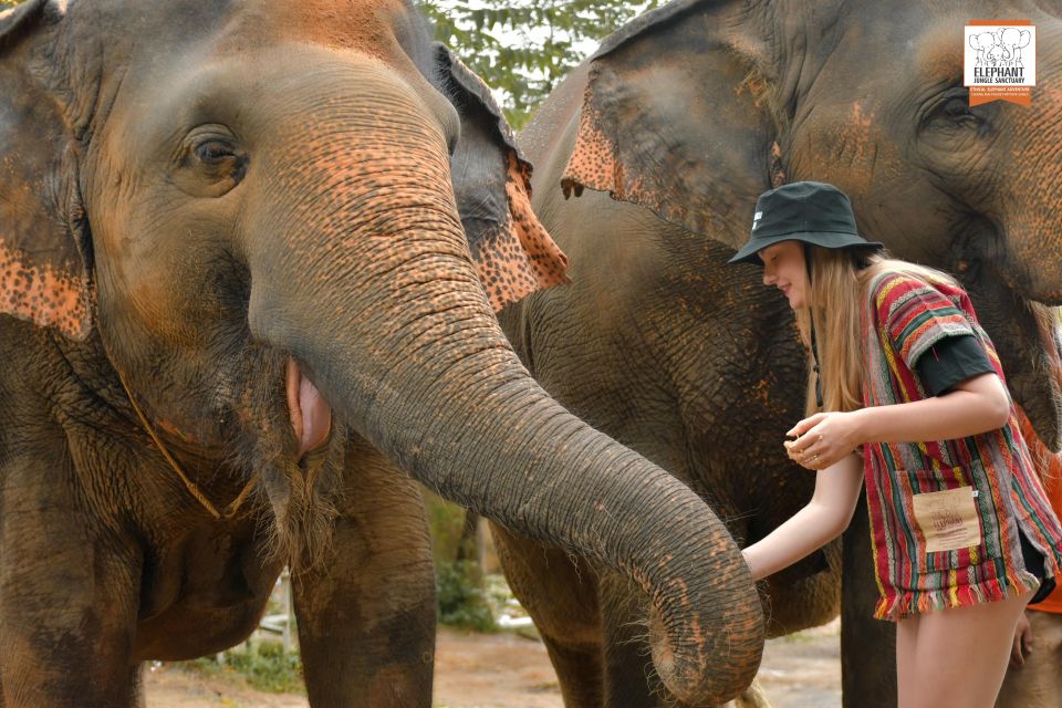 Phuket: Elephant Jungle Sanctuary Ethical Feeding Experience - What the Feed Me Program Actually Feels Like