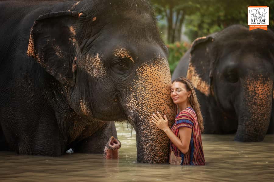 Phuket: Elephant Jungle Sanctuary Half-Day Visit with Meal - Key highlights I’d plan around