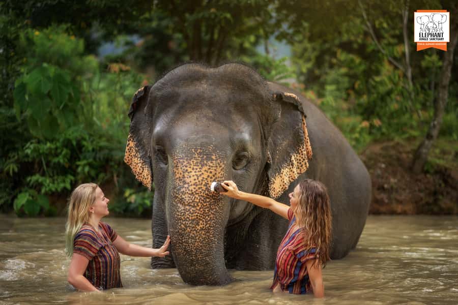 Phuket: Elephant Jungle Sanctuary Half-Day Visit with Meal - Getting to Elephant Jungle Sanctuary Phuket: pickup and first rules
