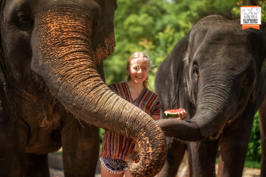 Phuket: Elephant Jungle Sanctuary Half-Day Visit with Meal - Mud spa time: the hands-on treatment session