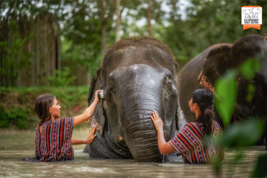 Phuket: Elephant Jungle Sanctuary Half-Day Visit with Meal - Price and value: is $90 a fair deal for a half-day?