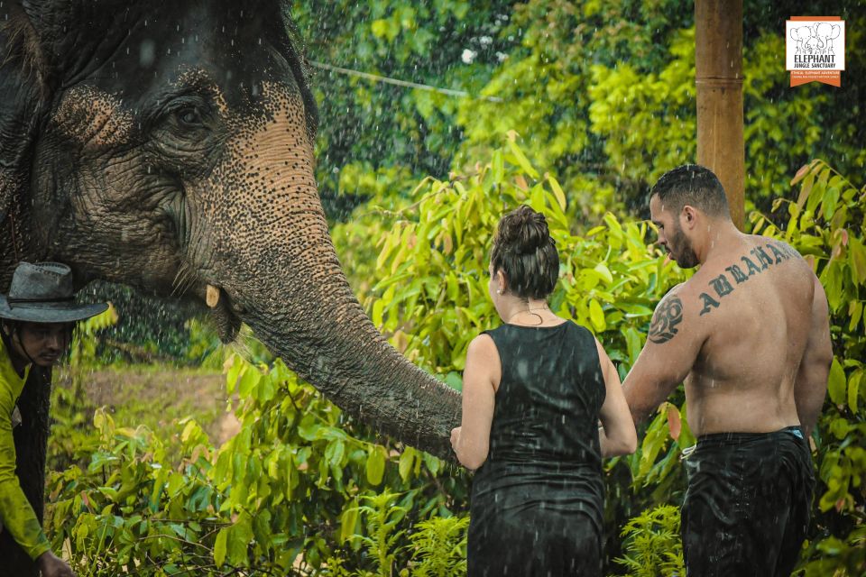Phuket: Elephant Jungle Sanctuary Half-Day Visit with Meal - What to bring (and what to skip) so the day feels easy