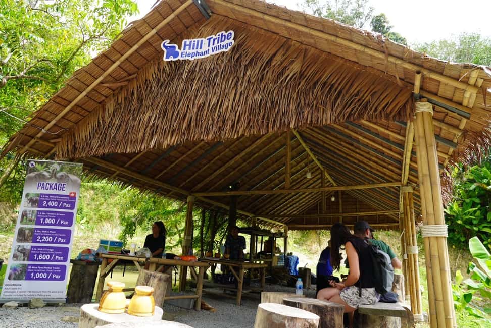 Phuket: Elephant Sanctuary Guided Tour with Hotel Transfers - Key things to know before you go