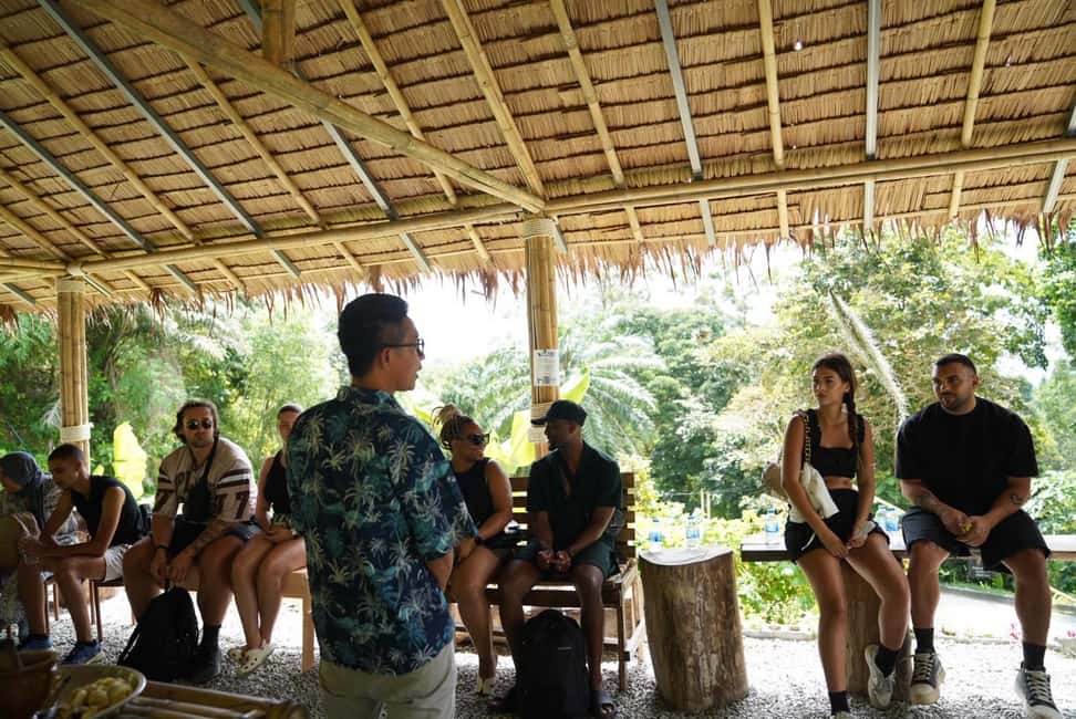 Phuket: Elephant Sanctuary Guided Tour with Hotel Transfers - The sanctuary hour: feeding, walking, and learning the elephants’ routines