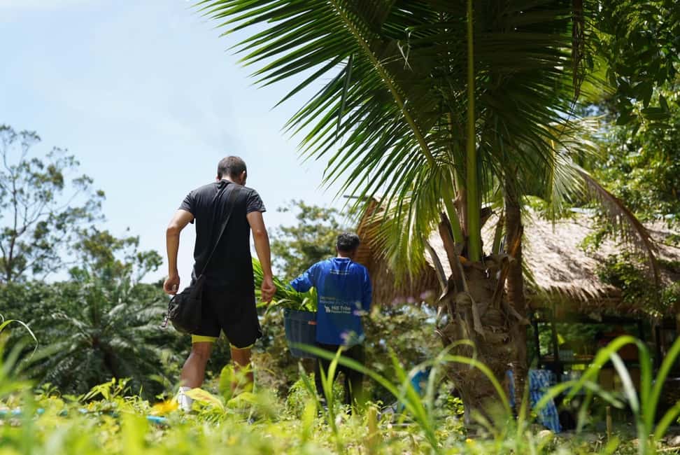 Phuket: Elephant Sanctuary Guided Tour with Hotel Transfers - What I’d focus on during the elephant hour (and why)
