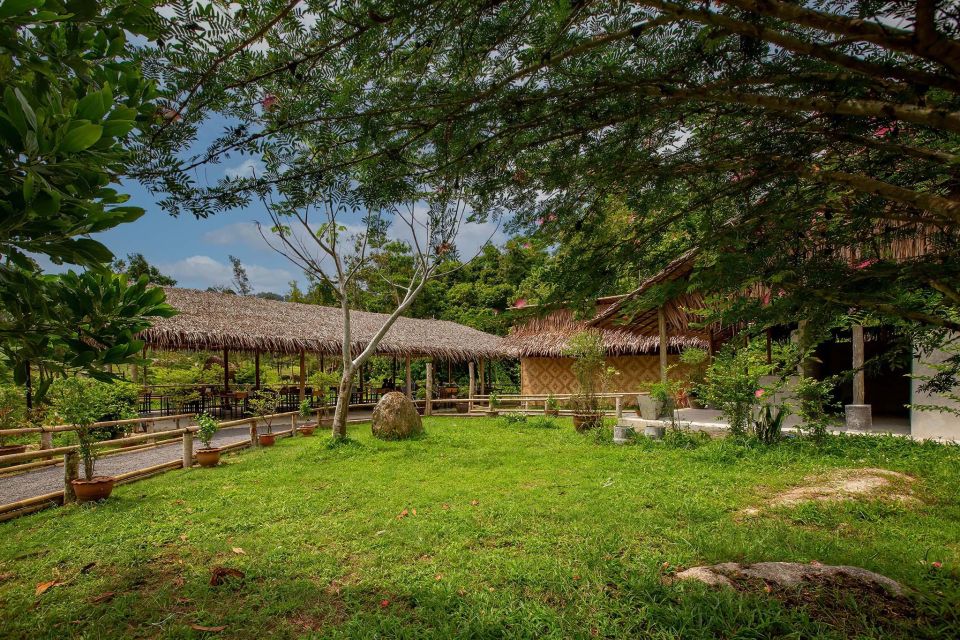 Phuket: Elephant Sanctuary Guided Tour with Hotel Transfers - Who this tour is best for