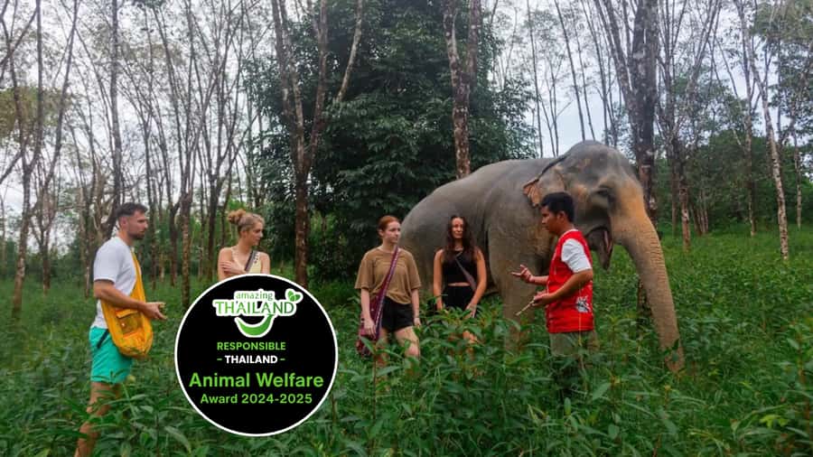 Phuket: Elephant Sanctuary Tour, Cooking Class & Lunch - Key things that make this tour work