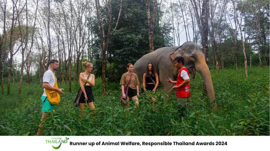 Phuket: Elephant Sanctuary Tour, Cooking Class & Lunch - River bathing and walking paths: how the day stays respectful
