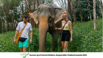 Phuket: Elephant Sanctuary Tour, Cooking Class & Lunch - Elephant food prep, cutting plants, and what your hands actually do