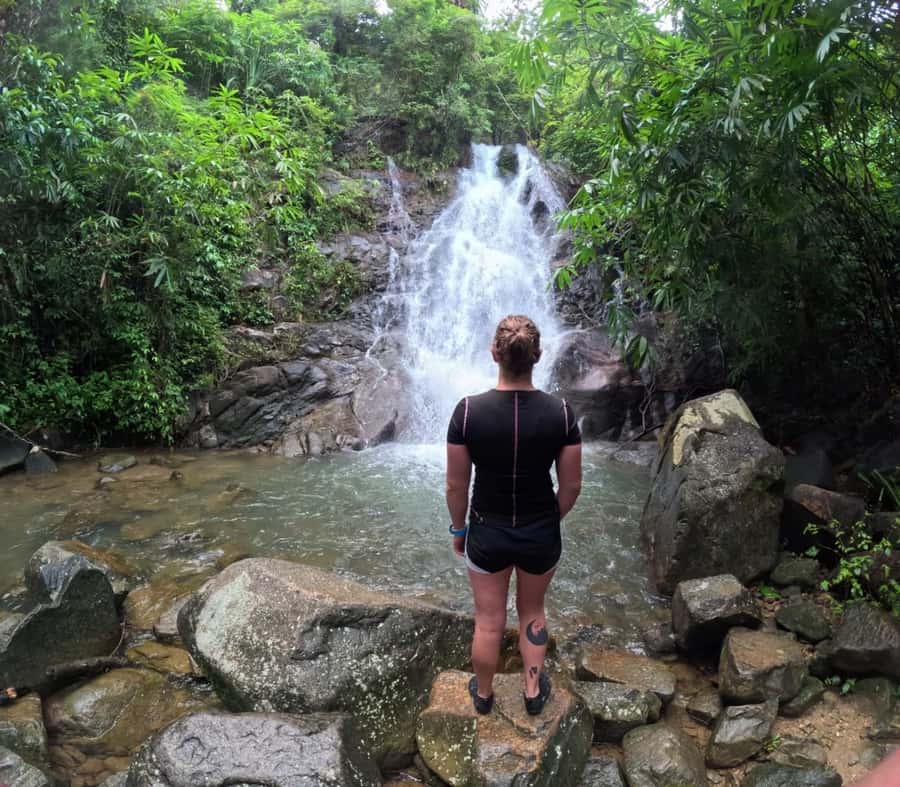Phuket: Elephant Sanctuary Tour, Cooking Class & Lunch - The 7-hour day: pickup, drive time, and what to expect