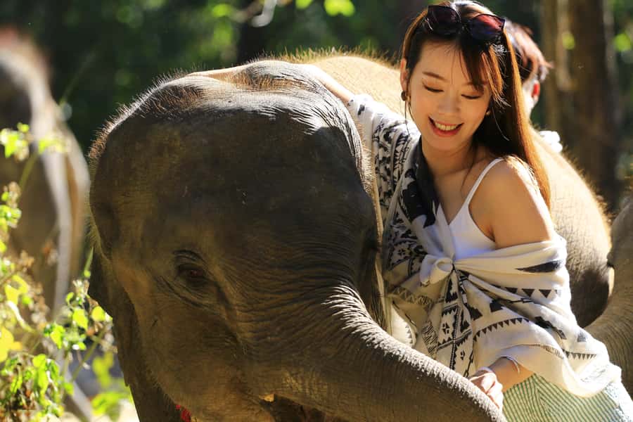 Phuket: Elephant Save & Care Program Tour - Lunch Box: Pad Thai, Seasonal Fruit, and the Pace Reset