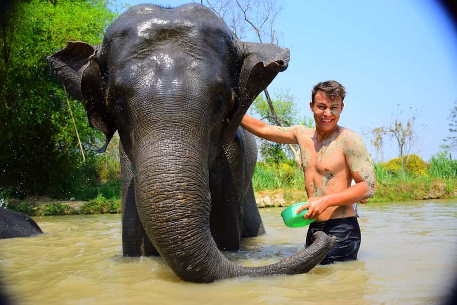 Phuket: Elephant Save & Care Program Tour - Phuket Elephant Save & Care: What You’re Really Signing Up For