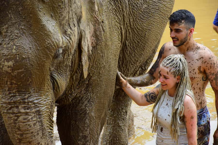 Phuket: Elephant Save & Care Program Tour - Pickup, Group Size, and Getting There Without Stress